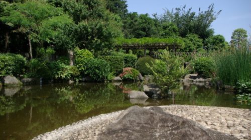 万葉植物園の絶景写真