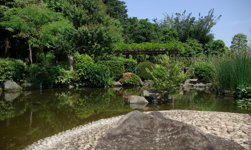 千葉県の絶景スポット「万葉植物園」