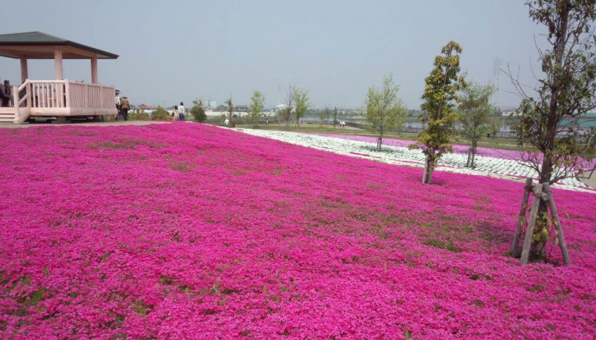 愛知県の絶景スポット「三ツ又池公園」