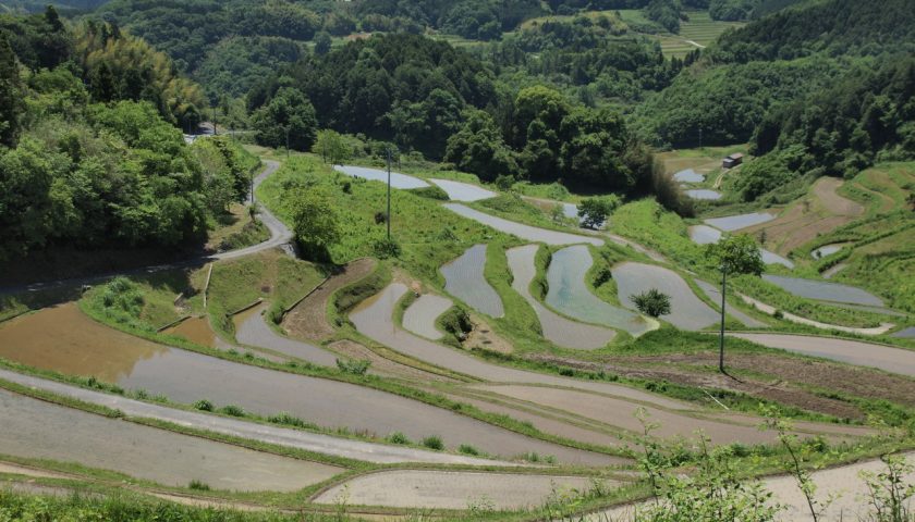岡山県の絶景スポット「上籾の棚田」