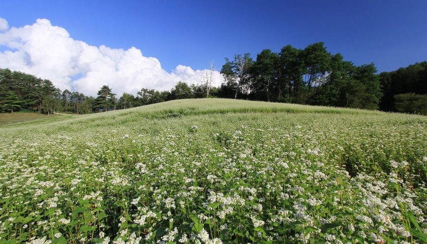 長野県の絶景スポット「中山高原」