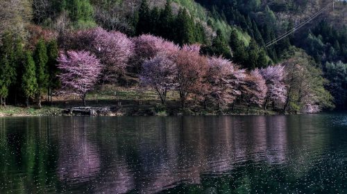 中綱湖の絶景写真