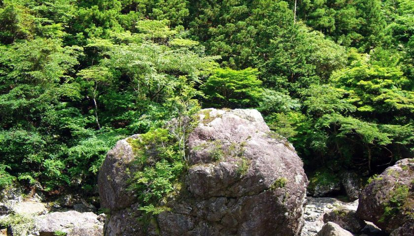徳島県の絶景スポット「山犬嶽」