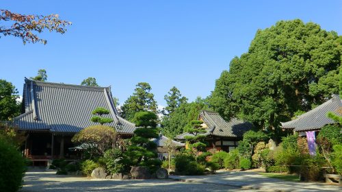 久米寺の絶景写真