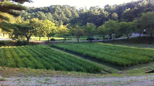 五十公野公園の絶景写真