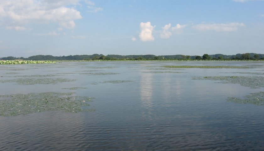 宮城県の絶景スポット「伊豆沼」