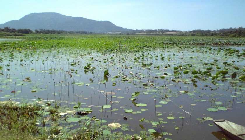 新潟県の絶景スポット「佐潟」