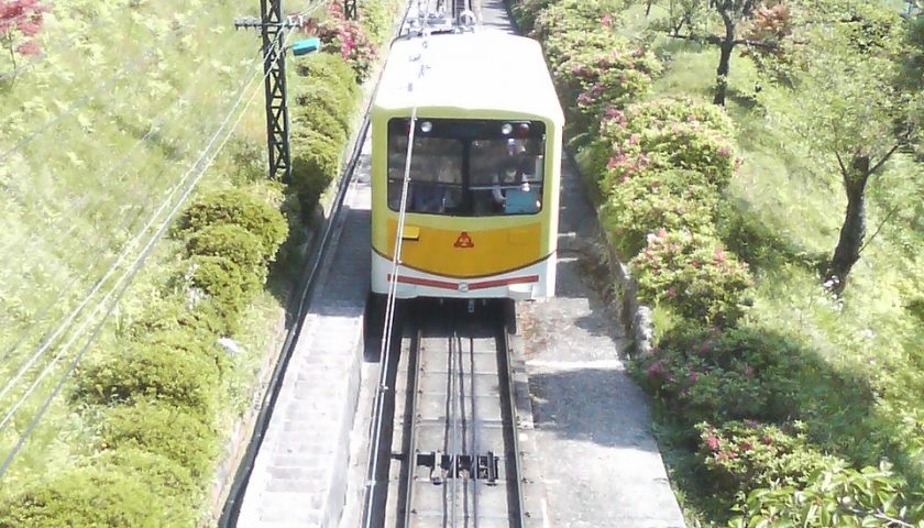 京都府の絶景スポット「傘松公園」