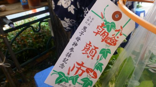 入谷朝顔まつりの絶景写真