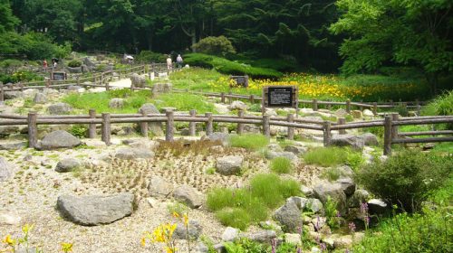 六甲高山植物園の絶景写真