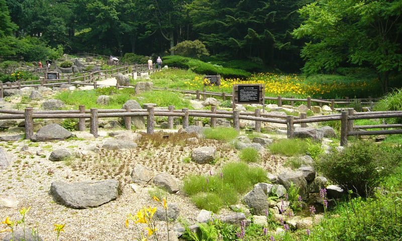 兵庫県の絶景スポット「六甲高山植物園」