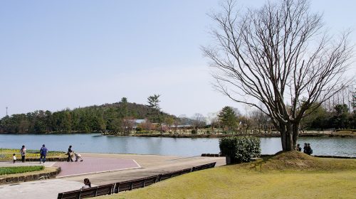 兵庫県立フラワーセンターの絶景写真