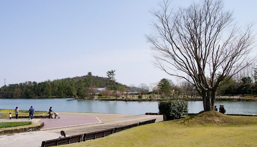 兵庫県の絶景スポット「兵庫県立フラワーセンター」