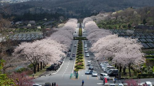 冨士霊園の絶景写真