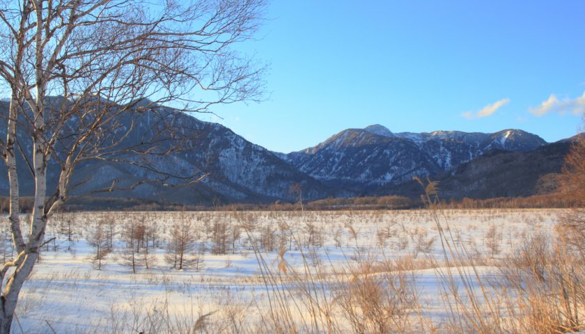 栃木県の絶景スポット「戦場ヶ原」