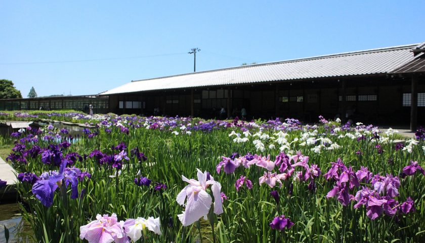 静岡県の絶景スポット「加茂荘花鳥園」