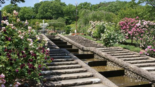 北山緑化植物園の絶景写真
