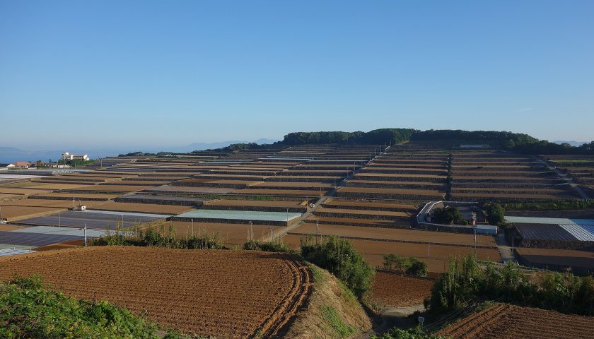 長崎県の絶景スポット「南串山棚畑展望台」