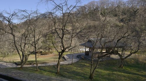 卯辰山の絶景写真