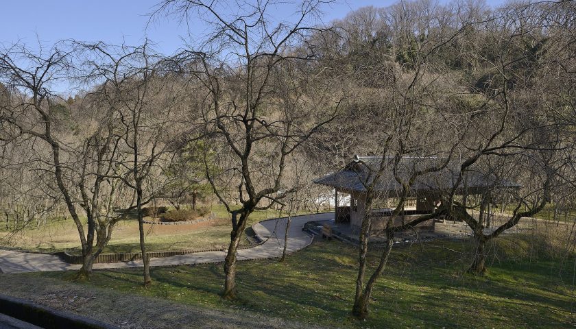 石川県の絶景スポット「卯辰山」