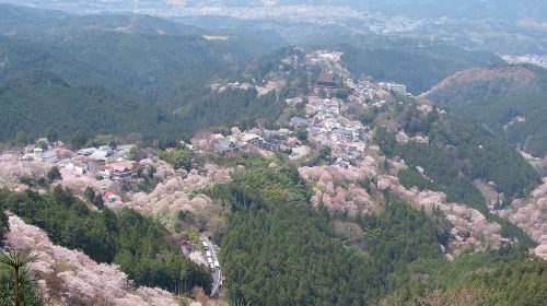 吉野山の絶景写真