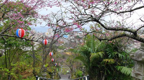 名護城の絶景写真