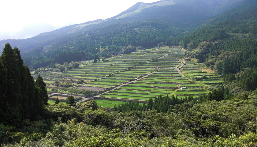 宮崎県の絶景スポット「坂元棚田」