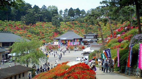 塩船観音寺の絶景写真
