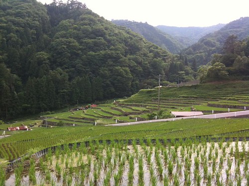 島根県の絶景スポット「大井谷棚田」