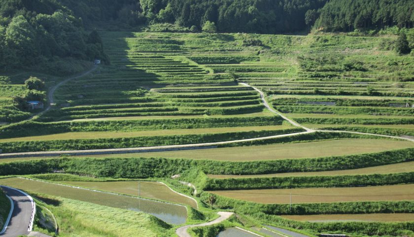 岡山県の絶景スポット「大垪和西の棚田」