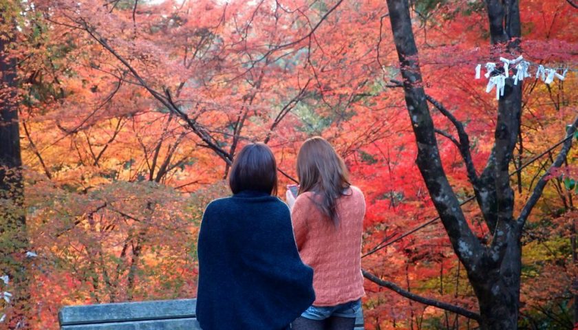 岐阜県の絶景スポット「大矢田神社」