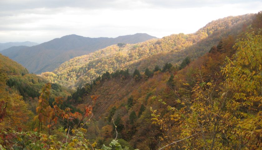 岐阜県の絶景スポット「天生県立自然公園」