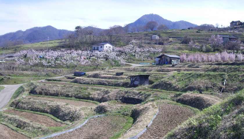 長野県の絶景スポット「姨捨の棚田」