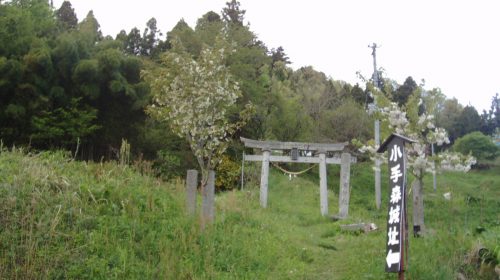小手森城の絶景写真