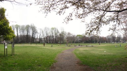 小金井公園の絶景写真