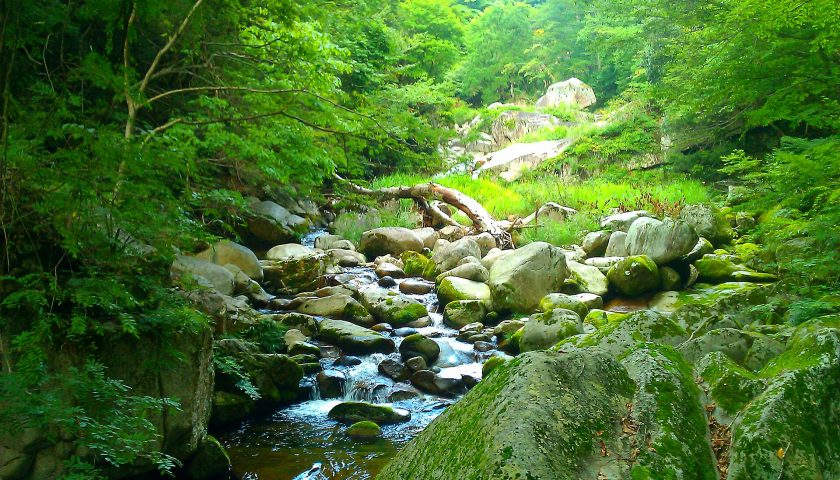 鳥取県の絶景スポット「小鹿渓」