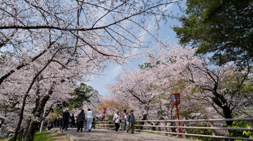 岡崎公園の絶景写真