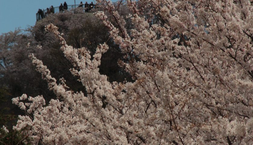 愛媛県の絶景スポット「積善山」