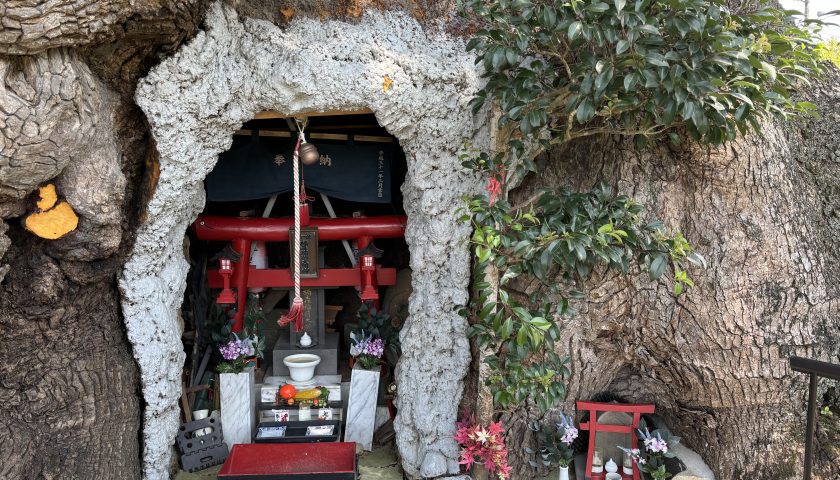 佐賀県の絶景スポット「川古の大楠」