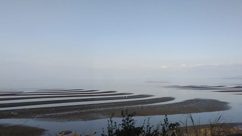 御輿来海岸の絶景写真