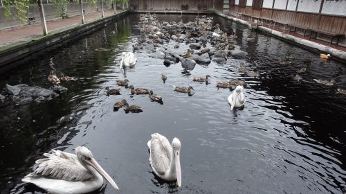掛川花鳥園の絶景写真