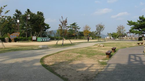 掬星台の絶景写真