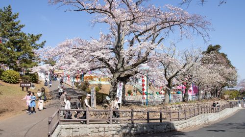 日立市かみね公園の絶景写真
