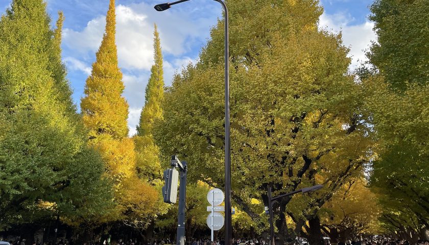 東京都の絶景スポット「明治神宮外苑 いちょう並木」
