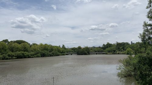 杁ヶ池公園の絶景写真