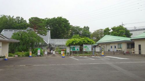 東京都薬用植物園の絶景写真