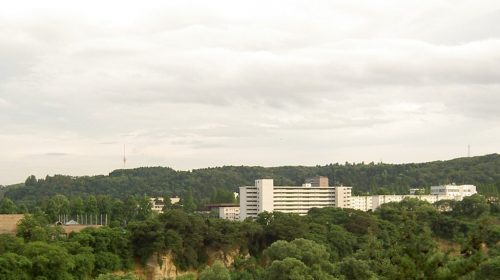 東北大学学術資源研究公開センター植物園の絶景写真