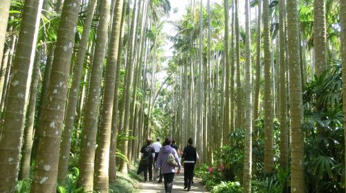 東南植物楽園の絶景写真