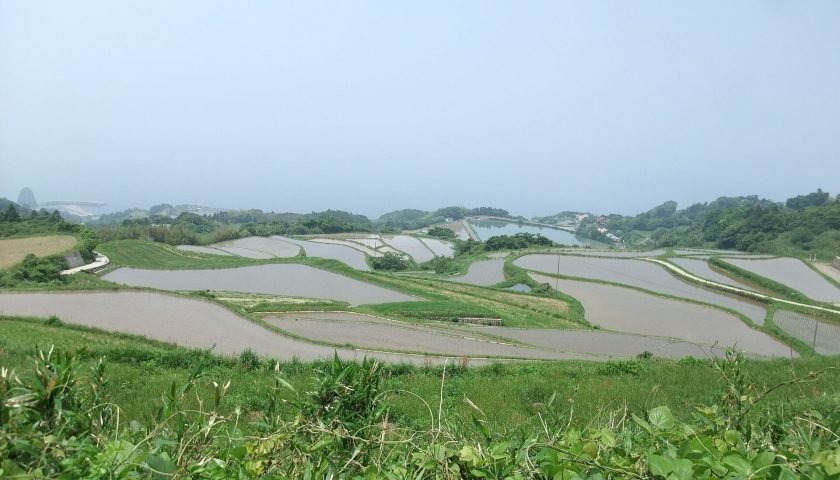 山口県の絶景スポット「東後畑棚田」