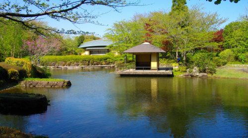 柏の葉公園の絶景写真